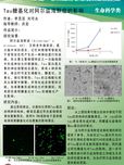 Tau的糖基化對阿爾茲海默癥的影響