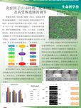 炎癥因子IL-6對凋亡配體TRAIL及其受體通路的調(diào)節(jié)研究