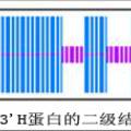 白菜、甘藍(lán)中決定花色等重要性狀的F3'H基因的克隆與分析