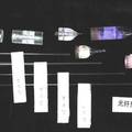 小型自動光纖拉絲機(jī)和特種光纖的拉制