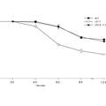 RFC3對(duì)擬南芥抗性生長和花器官發(fā)育的調(diào)控作用研究