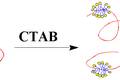 明膠與CTAB復合模板法制備介孔材料及其在酶固定化中的研究