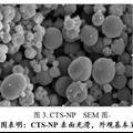 一種具有減肥降脂功效的殼聚糖納米粒發(fā)明