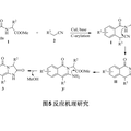 高效串聯(lián)反應(yīng)--新型復(fù)雜藥物母核合成方法的研究