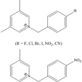 基于Ni(dmit)2分子自旋梯材料的制備和構(gòu)效關(guān)系研究