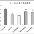 靈芝多糖對(duì)3T3-L1胰島素抵抗細(xì)胞模型蛋白表達(dá)的影響