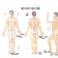 2000-2009年《中國針灸》臨床研究和報(bào)道中穴位譜研究