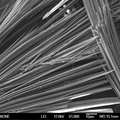 高性能無機鎂鹽晶須的制備、表征及應(yīng)用研究