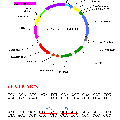 用于蛋白間互作研究的雙分子熒光互補(bǔ)（BiFC）操作平臺的構(gòu)建及應(yīng)用