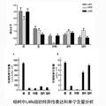 楊樹單寧合成途徑中關(guān)鍵酶基因LARs的克隆及功能解析