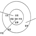 品牌實施策略研究 — 以哈根達斯為例