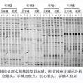 物理和化學誘變因素誘導水稻產(chǎn)生表觀遺傳變異的研究