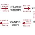 廣域水面泄漏原油的收集與處理一體化裝置