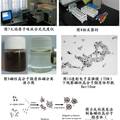 新型磁性納米載體跨血脊髓屏障靶向定位的實(shí)驗(yàn)研究