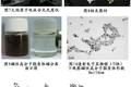 新型磁性納米載體跨血脊髓屏障靶向定位的實(shí)驗(yàn)研究