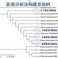 我國部分省份番茄白粉病菌的鑒定及其分子系統(tǒng)學(xué)研究