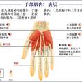 地震救援機(jī)械手套