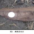 川東北碚地區(qū)飛仙關(guān)組沉積與構(gòu)造特征研究