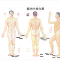 2000-2009年《中國針灸》臨床研究和報(bào)道中穴位譜研究