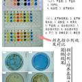 桑葉黃酮的酶法提取及其生物轉(zhuǎn)化制備高活性苷元的研究與應(yīng)用