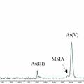 As（III）氧化菌篩選、鑒定與氧化機(jī)理分析