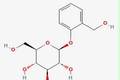 八角楓中水楊苷資源的開(kāi)發(fā)研究