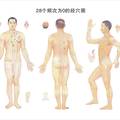 2000-2009年《中國針灸》臨床研究和報(bào)道中穴位譜研究