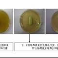 UV牙刷消毒器對(duì)口內(nèi)常見(jiàn)致病菌消毒效果的實(shí)驗(yàn)研究