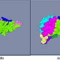 基于血管結(jié)構(gòu)的肝臟影像解讀分析系統(tǒng)