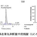 殺蟲(chóng)劑啶蟲(chóng)脒影響雄性小鼠生殖功能的研究