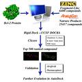 基于計算機模擬技術的新型抗腫瘤藥物分子的發(fā)現(xiàn)