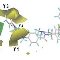 基于計算機模擬技術的新型抗腫瘤藥物分子的發(fā)現(xiàn)