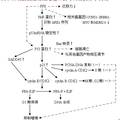 豬苓多糖抑制人膀胱癌細(xì)胞增殖和誘導(dǎo)凋亡作用及其分子機制研究