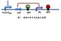大腸桿菌內(nèi)基因計(jì)時(shí)開關(guān)的設(shè)計(jì)及應(yīng)用
