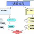 我國部分省份番茄白粉病菌的鑒定及其分子系統(tǒng)學(xué)研究