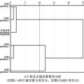 中國喜馬拉雅地區(qū)特有植物黃花木屬的細(xì)胞學(xué)研究