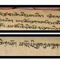 走近神秘古老的川滇世界：西南地區(qū)瀕危文字搶救、整理與研究