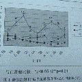 氣虛發(fā)熱模型的制備