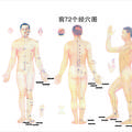 2000-2009年《中國針灸》臨床研究和報(bào)道中穴位譜研究