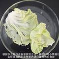 利用餐廚垃圾進行Bt和Bs共培養(yǎng)固態(tài)發(fā)酵生產(chǎn)Bt生物農(nóng)藥