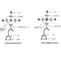 常用化療方案對(duì)原代乳癌細(xì)胞抑制率與基因過(guò)表達(dá)的相關(guān)性研究