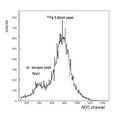 Micromegas中子探測器位置分辨特性的Monte Carlo研究