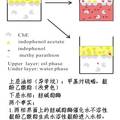 在油/水兩相界面中利用酶抑制法檢測(cè)有機(jī)磷農(nóng)藥