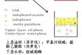 在油/水兩相界面中利用酶抑制法檢測(cè)有機(jī)磷農(nóng)藥