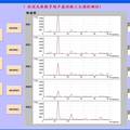 數(shù)字超聲波混凝土預(yù)制板無損檢測儀